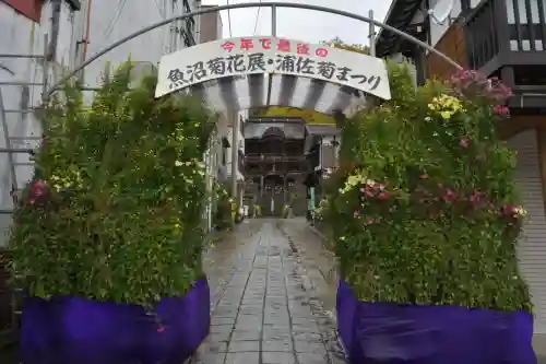 普光寺(新潟県)