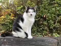 王子神社の動物