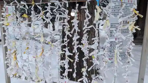 旭川神社のおみくじ