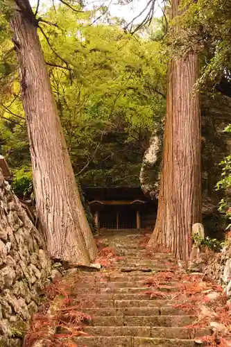 星谷寺(徳島県)
