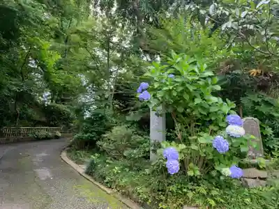 法眼寺(千葉県)