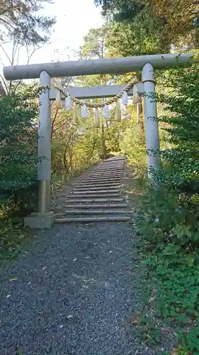 天津神大龍神宮の鳥居