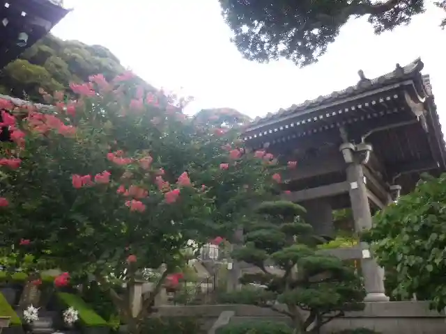 長谷寺のその他建物