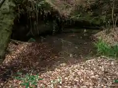 神谷山禅瀧寺の自然