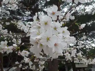 鳥飼八幡宮(福岡県)