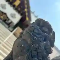 札幌諏訪神社の狛犬