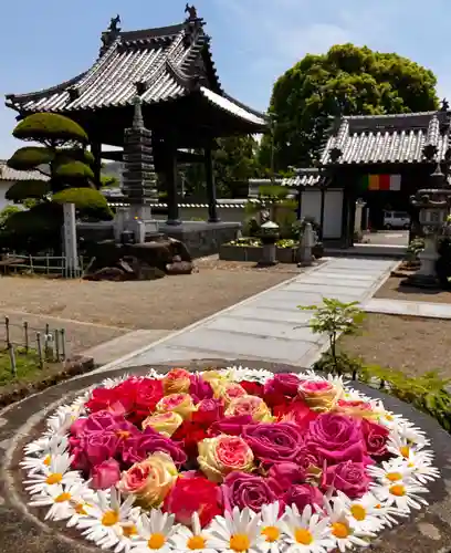 真言宗　善通寺派　薬王寺(香川県)