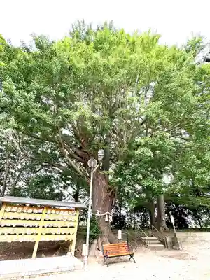 白子神社(千葉県)