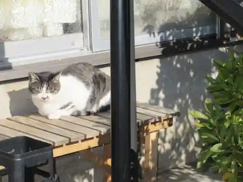 薬王寺(神奈川県)