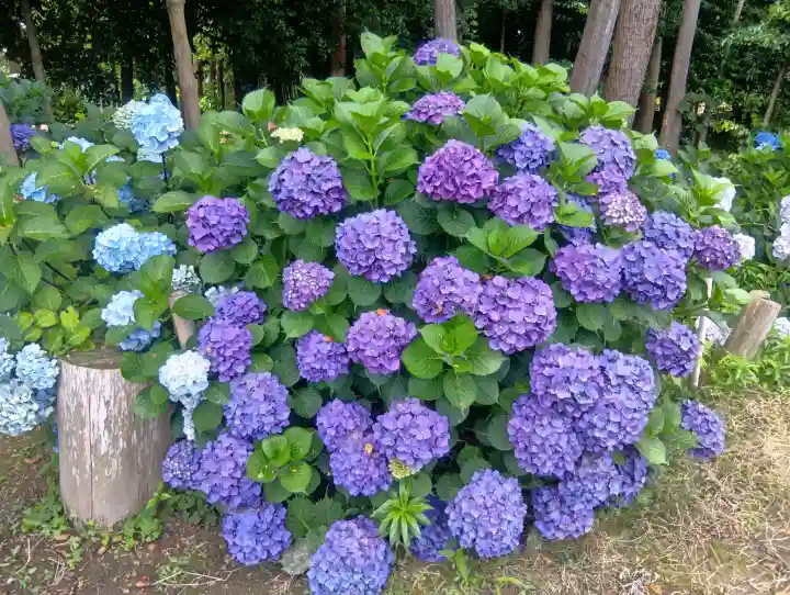 石刀神社(愛知県)