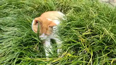 行願寺（革堂）(京都府)