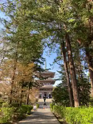 善光寺の{uncategorized: "未分類", other: "その他", undefined: "問題あり", building: "その他建物", grave: "お墓", sacred_gate: "鳥居", guardian: "狛犬", statue: "像", buddha: "仏像", history: "歴史", nature: "自然", garden: "庭園", animal: "動物", pagoda: "塔", temizu: "手水舎", mountain_gate: "山門・神門", sanctuary: "本殿・本堂", subordinate: "末社・摂社", art: "芸術", scenery: "景色", jizo: "地蔵", ema: "絵馬", goshuin: "御朱印", omikuji: "おみくじ", items: "授与品その他", amulet: "お守り", goshuincho: "御朱印帳", eats: "食事", festival: "お祭り", votive_dance: "神楽", shichigosan: "七五三参", wedding: "結婚式", experience: "体験その他", initially: "初詣", around: "周辺", anti_infection: "感染症対策"}