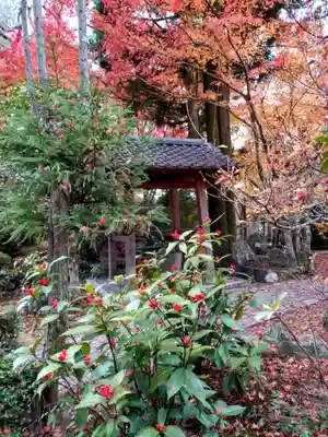 安楽寺(京都府)