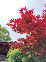 常福寺の自然