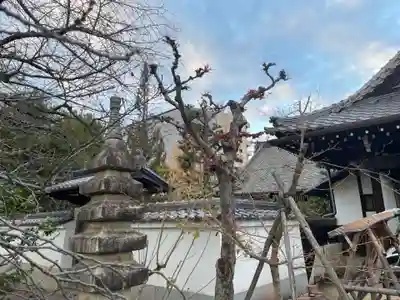 報恩寺(京都府)