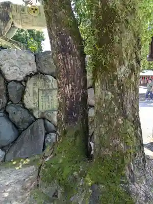 真清田神社(愛知県)