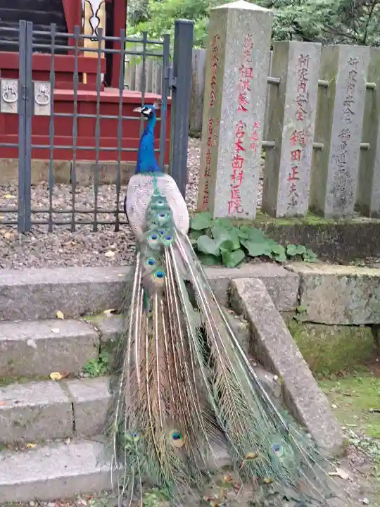 楽法寺(雨引観音)(茨城県)
