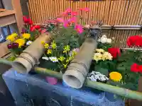 小網神社の{uncategorized: "未分類", other: "その他", undefined: "問題あり", building: "その他建物", grave: "お墓", sacred_gate: "鳥居", guardian: "狛犬", statue: "像", buddha: "仏像", history: "歴史", nature: "自然", garden: "庭園", animal: "動物", pagoda: "塔", temizu: "手水舎", mountain_gate: "山門・神門", sanctuary: "本殿・本堂", subordinate: "末社・摂社", art: "芸術", scenery: "景色", jizo: "地蔵", ema: "絵馬", goshuin: "御朱印", omikuji: "おみくじ", items: "授与品その他", amulet: "お守り", goshuincho: "御朱印帳", eats: "食事", festival: "お祭り", votive_dance: "神楽", shichigosan: "七五三参", wedding: "結婚式", experience: "体験その他", initially: "初詣", around: "周辺", anti_infection: "感染症対策"}