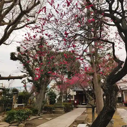 北野天神（仲六郷北野神社）(東京都)