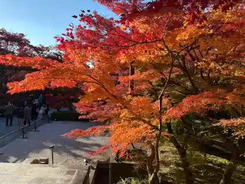 禅林寺（永観堂）(京都府)