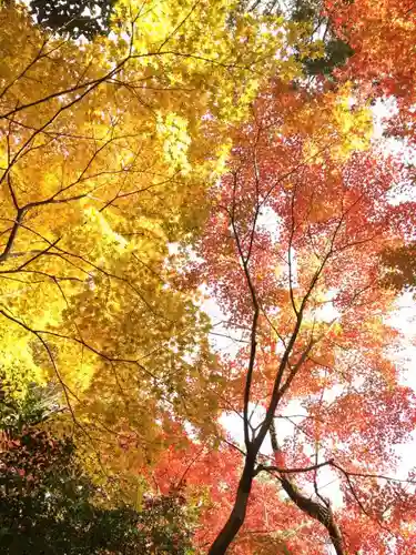 平林寺の自然