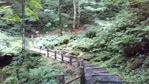 桜松神社の周辺