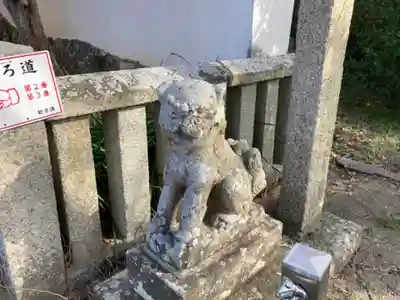 観音寺の狛犬