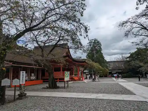 富士山本宮浅間大社(静岡県)