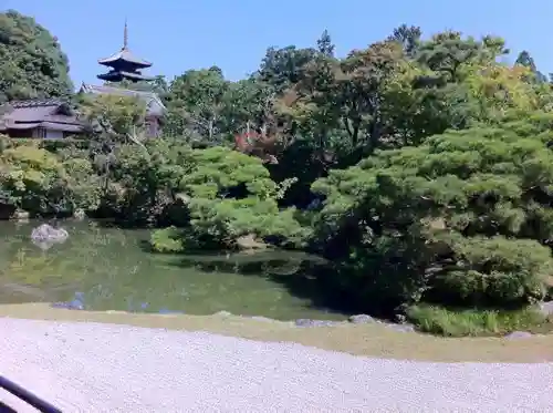 仁和寺の庭園