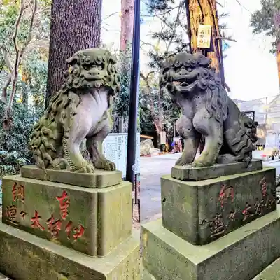 岩槻久伊豆神社の狛犬