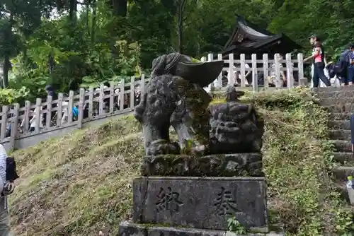 戸隠神社奥社の狛犬