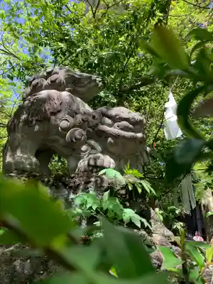 渋川八幡宮の狛犬