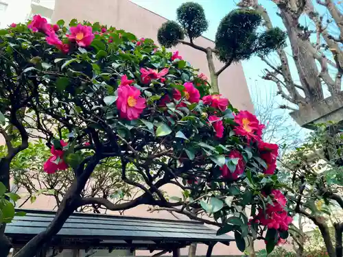 笠間稲荷神社 東京別社の自然