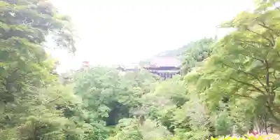 清水寺(京都府)