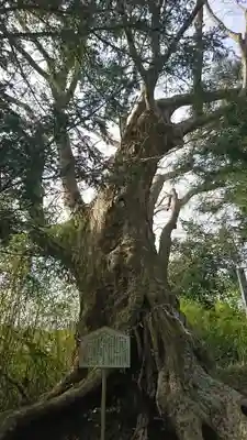 日高見神社の自然