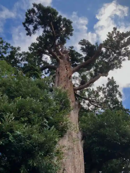 吉原鹿島神社(茨城県)