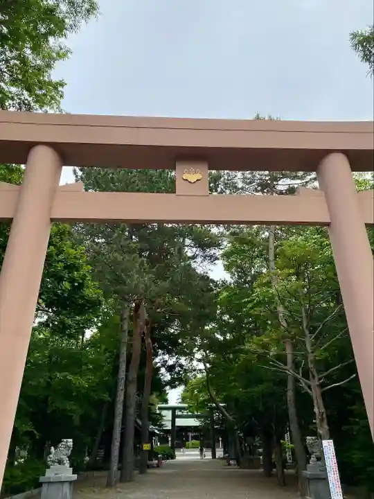 琴似神社(北海道)
