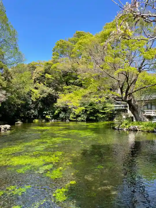 富士山本宮浅間大社(静岡県)