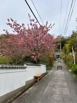 大谷寺の{uncategorized: "未分類", other: "その他", undefined: "問題あり", building: "その他建物", grave: "お墓", sacred_gate: "鳥居", guardian: "狛犬", statue: "像", buddha: "仏像", history: "歴史", nature: "自然", garden: "庭園", animal: "動物", pagoda: "塔", temizu: "手水舎", mountain_gate: "山門・神門", sanctuary: "本殿・本堂", subordinate: "末社・摂社", art: "芸術", scenery: "景色", jizo: "地蔵", ema: "絵馬", goshuin: "御朱印", omikuji: "おみくじ", items: "授与品その他", amulet: "お守り", goshuincho: "御朱印帳", eats: "食事", festival: "お祭り", votive_dance: "神楽", shichigosan: "七五三参", wedding: "結婚式", experience: "体験その他", initially: "初詣", around: "周辺", anti_infection: "感染症対策"}