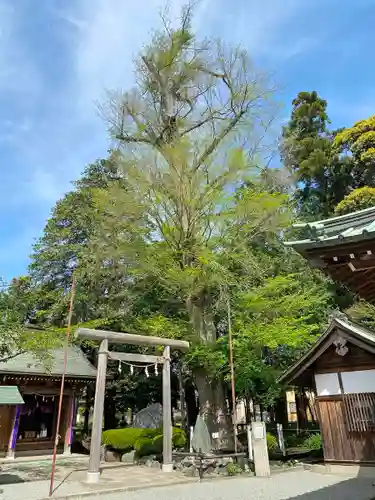 深見神社の鳥居