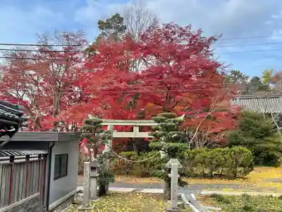 本誓寺(東本誓寺)(滋賀県)