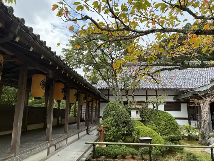 鞍馬寺(京都府)