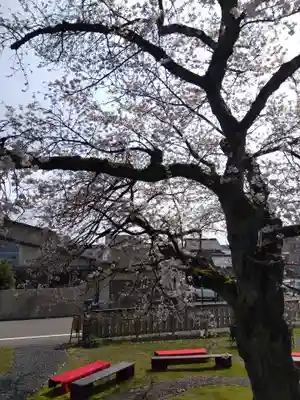 妙経寺(福井県)