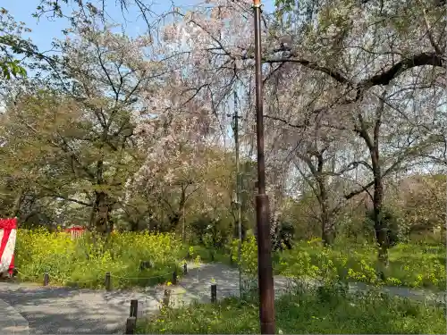 平野神社(京都府)