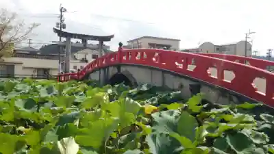 青井阿蘇神社のその他建物