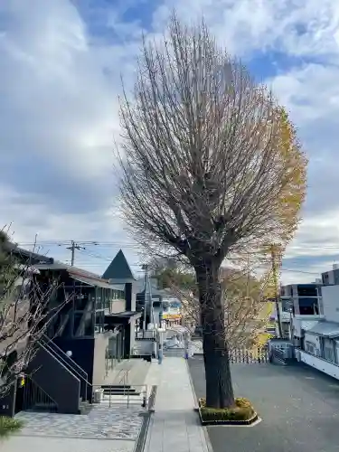 廣源院東福寺(東京都)