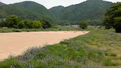 史跡　丹波国分寺跡　附 八幡神社跡(京都府)