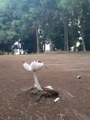 伏木香取神社(茨城県)