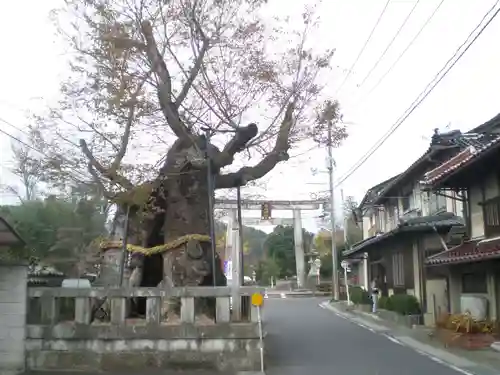 中山神社の建物その他