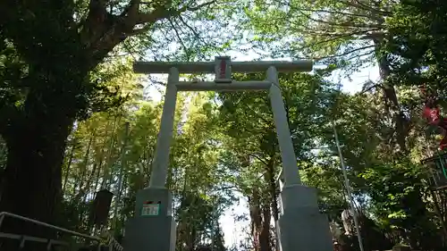 大稲荷神社の鳥居